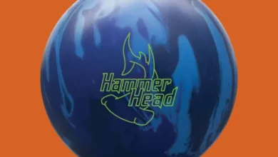 hammer hammerhead